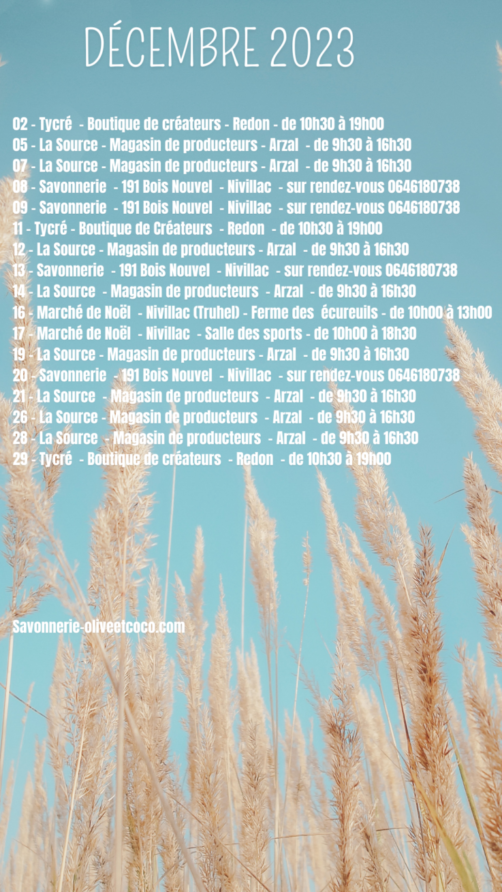 Programme de Décembre 2023