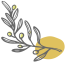 FAVICON_OLIVE_COCO